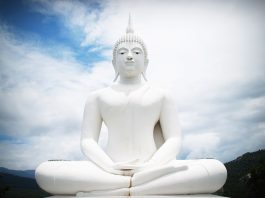 Buddhas Path Of Meditation